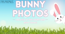 Bunny&nbsp;Photos