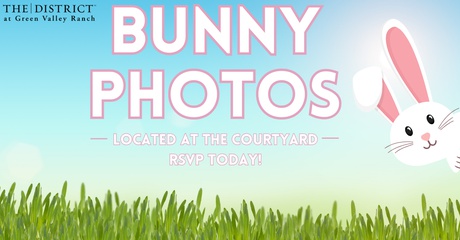 Bunny Photos