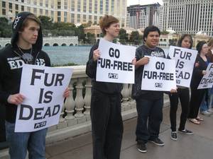 Known for its controversial tactics, PETA's January 26 demonstration in Las Vegas relied on signs and pamphlets rather than nudity or dramatic props.