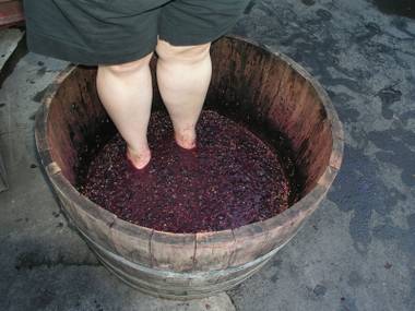 Participants are allowed to take their shoes off and jump right in at Pahrump Valley Winery’s Grape Stomp Festival.