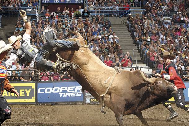It might look like a loss, but this was a huge win for Robson Palermo on RMEF Gunpowder & Lead. The 8-second ride earned 93.5 out of 100 at a PBR event in Milwaukee, Wisconsin. 