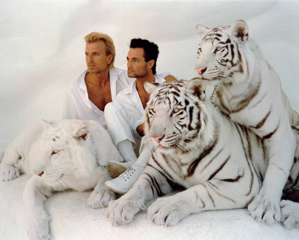 Image result for siegfried and roy