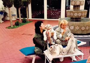 Magic act: For years, Siegfried and Roy dazzled audiences. Their show’s abrupt ending changed the Strip forever.