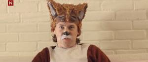 So, what does the fox say?