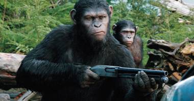 Impressive ape-versus-human action.