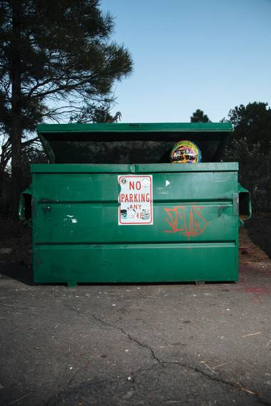 “All this nature around, and she’s taking photos of a dumpster.”