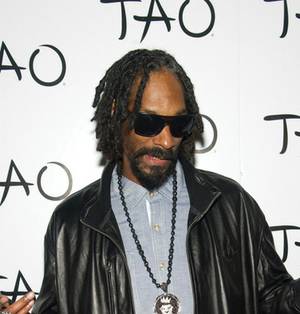 Snoop is back for the Snoopadelic Cabaret.