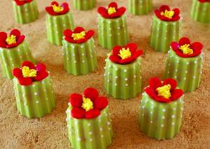 Aww, sweet little cacti make our desert a happier place. Thanks, Chef Teddy.