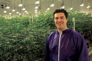 Armen Yemenidjian, CEO, Essence Cannabis Dispensary & Desert Grown Farms
