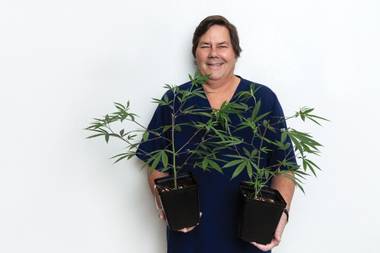 These are some of the men and women responsible for cannabis' overwhelmingly successful start in Southern Nevada.
