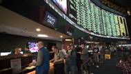 The world's largest sportsbook creates a comfortable gambling environment for everyone.