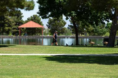 Readers’ Choice—Best Park: Sunset Park