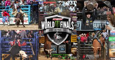 To commemorate almost 30 incredible years of PBR, we’ve rounded up a list of some of the most memorable achievements and heart-stopping moments—and the riders, and bulls, who have delivered them ...