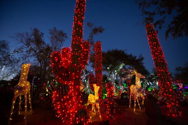 Holiday Cactus Garden Lights