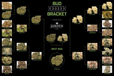 The results are in! After weeks of voting, the winner of the 2022 Las Vegas Bud Bracket is NY Cheesecake from LITFARMS.