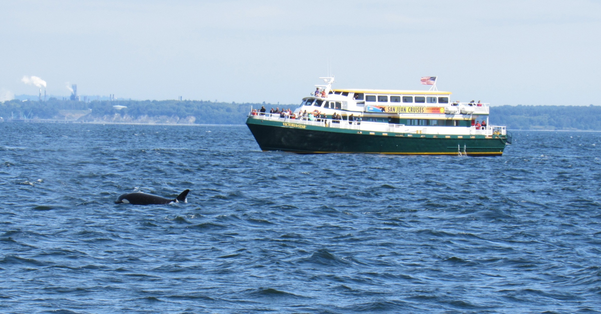 No worries, if you’re not “carrying on” your kayak on the plane (not sure you can do that, even), there are folks who would love to take you out and show you this place they love.