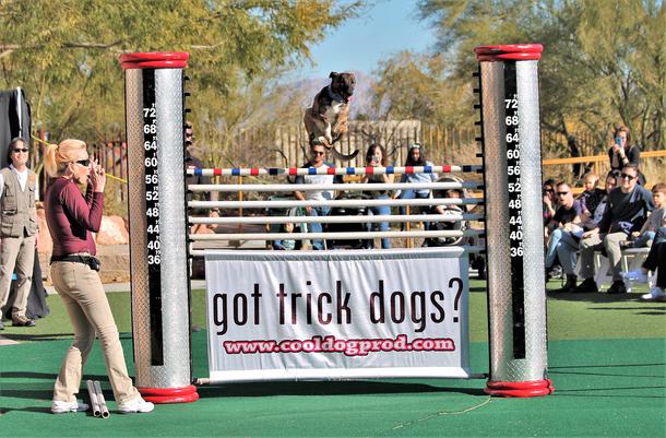 Jump: The Ultimate Dog Show