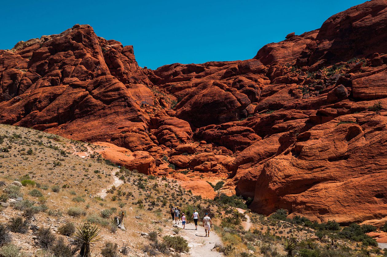 Environmentalists are petitioning federal authorities to protect a rare yellow sunflower threatened by the millions of visitors who flock to Red Rock Canyon each year.

