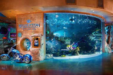 This 117,000-gallon aquarium, set amid a Vegas casino, draws families to watch thousands of tropical fish swim about—not to mention regular mermaid appearances.