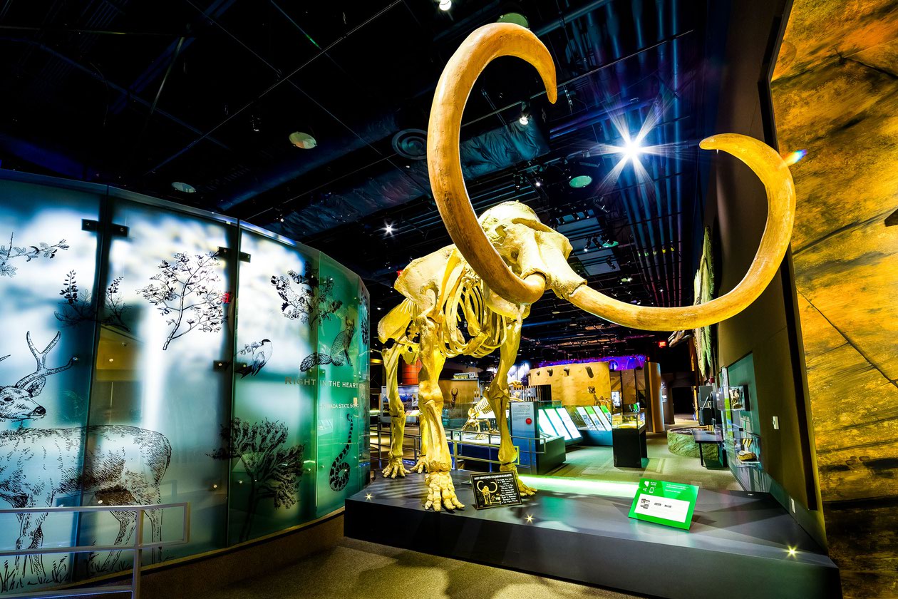 Adventure through the rich and colorful story of the Silver State as it unfolds in seven of Nevada State Museums.