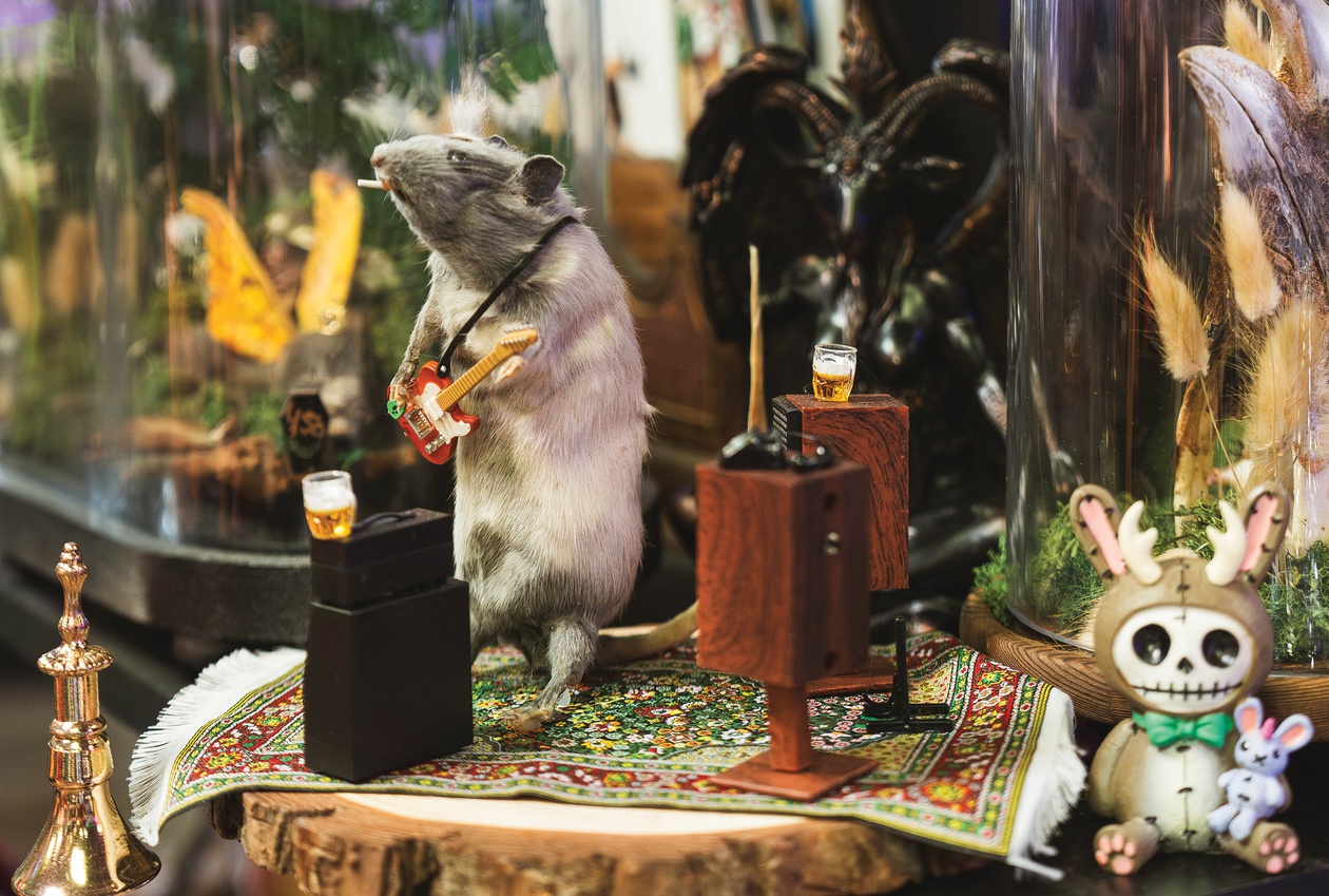 The shop functions as the owners’ bizarre little biome, where taxidermied raccoons are frozen mid-growl and draped in tuxes and tutus.