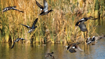 Clark County to enhance 2 parks with Department of Interior funding