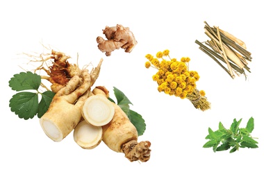 You’ve probably got quite a few herbs in your home that have medicinal properties. 