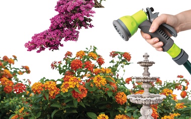 The key is working with the unique conditions of our climate rather than fighting against them.