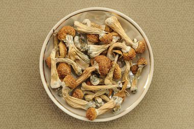 Psilocybin