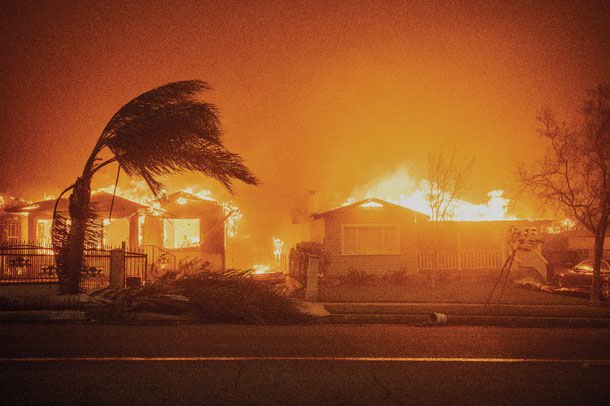 Trees sway in high winds as the Eaton Fire burns structures on January 8 in Altadena, California. 