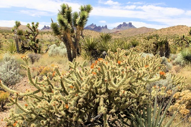Castle Peaks at Avi Kwa Ame National&nbsp;Monument