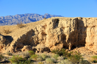 A $42 million investment announced earlier this month by Gov. Joe Lombardo and the Conserve Nevada Program is heading into the next phase ...