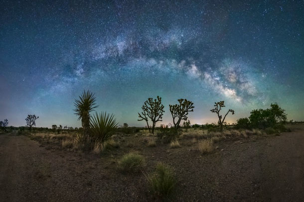 Mojave Desert stars
