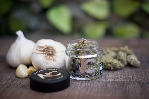 Garlic Cookies, Nature’s Chemistry