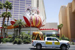 Elephant Artwork on The Strip