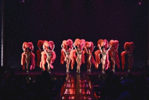 The Dita Von Teese show at Voltaire. 