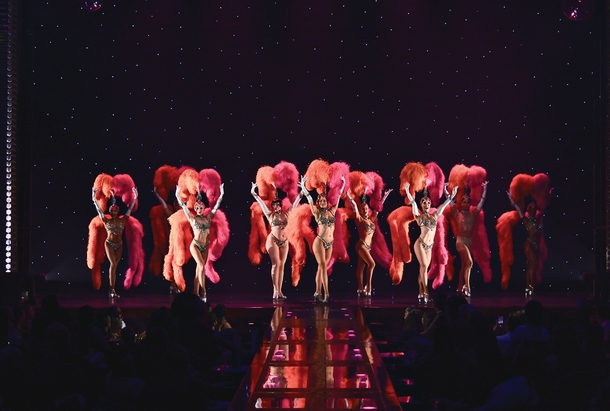 The Dita Von Teese show at Voltaire. 