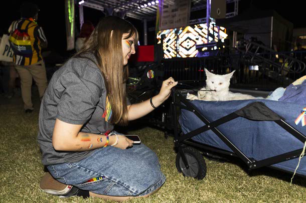 Elie plays with a deaf Maine Coon cat named Falcor during the Las Vegas PRIDE festival at Desert Breeze Events Center, Saturday, Oct. 18, 2025.