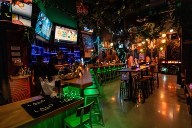 From the rich imagination of Branden Powers, Pachi-Pachi invokes the spirit of Tokyo nightlife. 