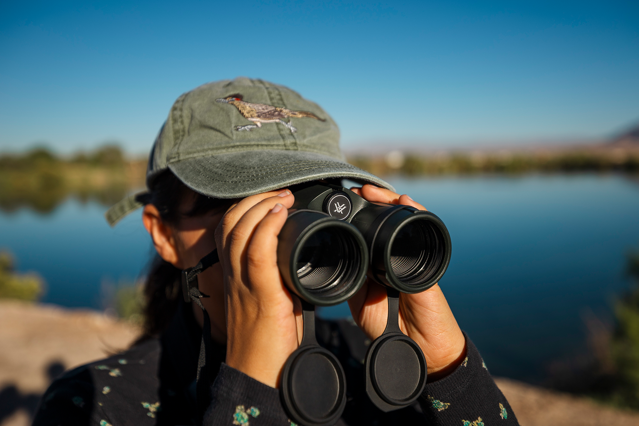 Find your flock: A beginner’s guide to birding in Las Vegas