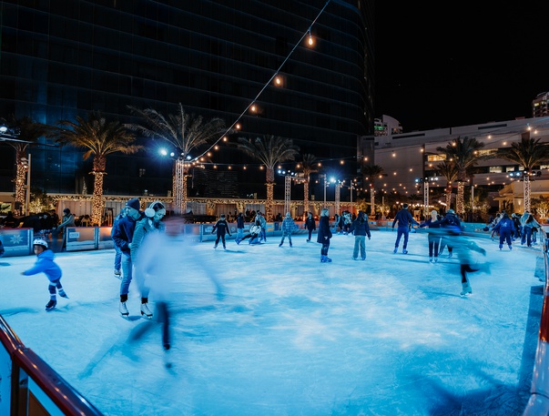 Oasis Ice Rink