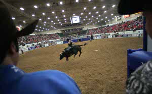 Championship Bull Riding at South Point Arena in 2009
