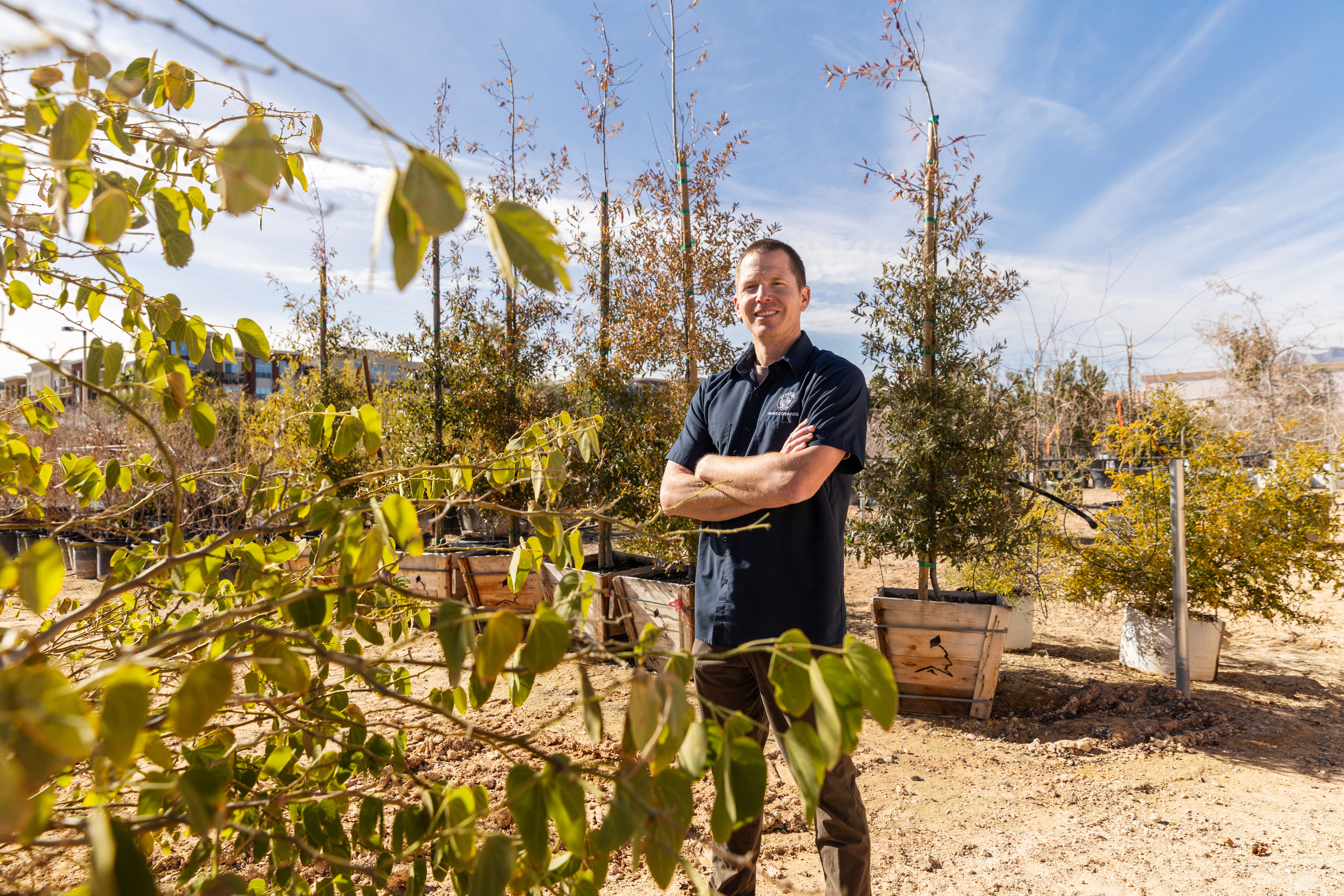 City of Las Vegas provides free trees to homeowners in high-heat ZIP codes
