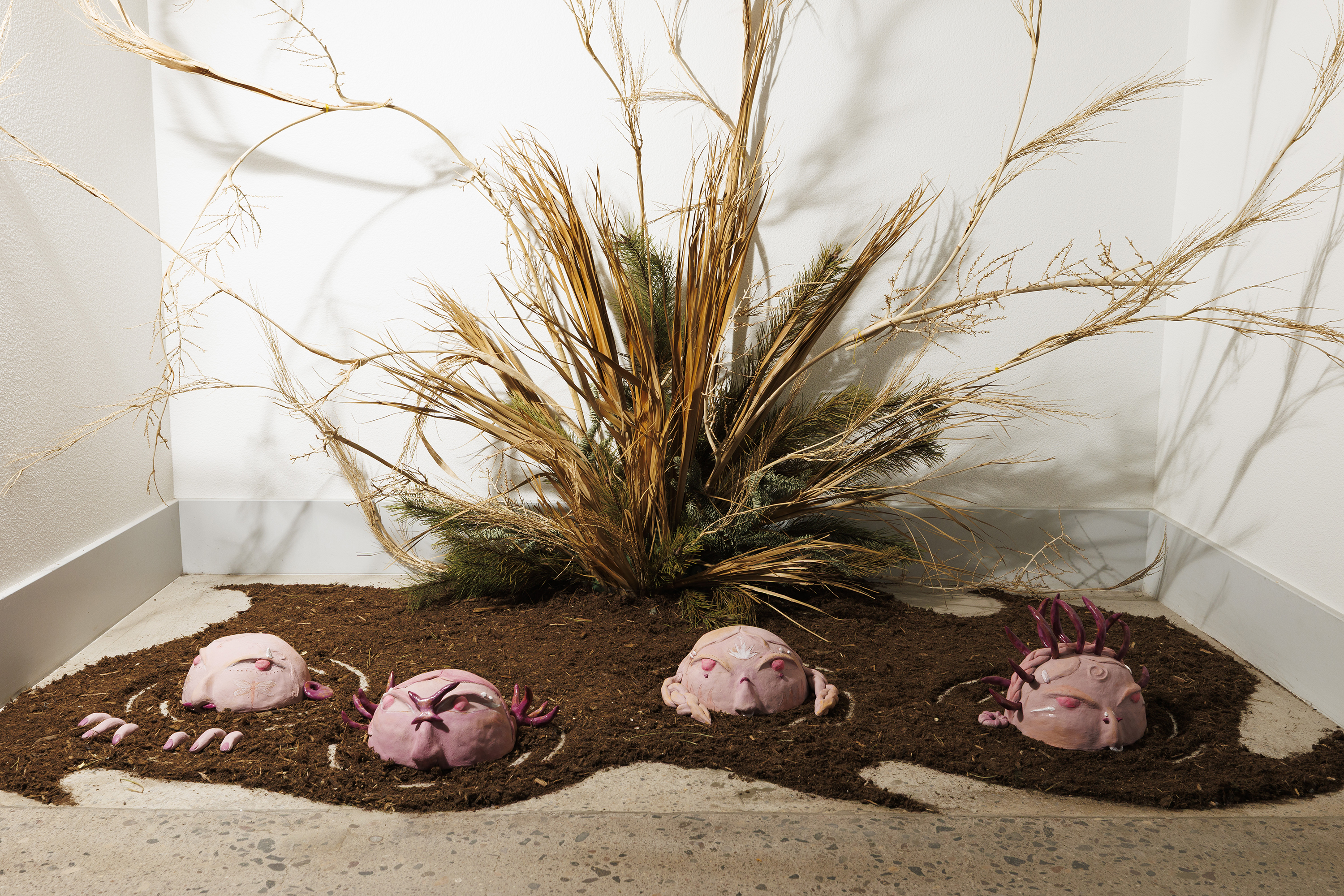 Sacred surroundings: Nuwu’s ‘Healing the Heart’ exhibit praises the undeniable power of ecology