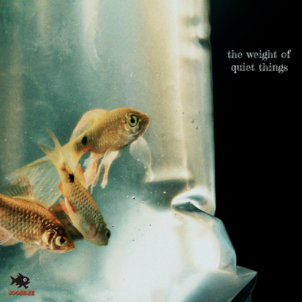 The Weight of Quiet Things