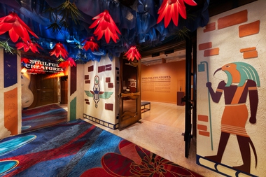 In Ancient Egypt, many animals were prized pets of royal families, worshipped and sometimes buried with their owners and mummified to join them in the afterlife. 