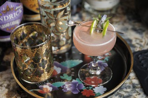 For a gimlet, a cocktail coupe is the preferred glassware.