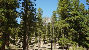 Lee Canyon