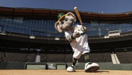 Las Vegas gets another sports milestone this week as the A’s, preparing to move to their new ballpark on the Strip in time for the 2028 season, play six “home” games in Downtown Summerlin June 8-14.