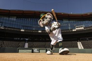 Stomper at Las Vegas&nbsp;Ballpark